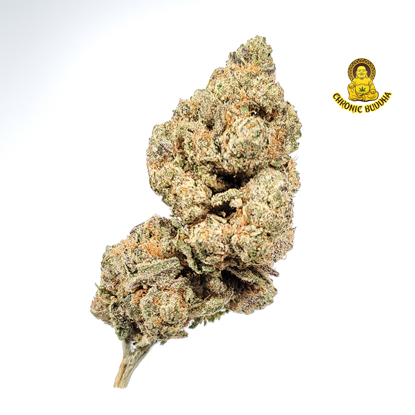 Galactic jack