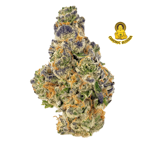 GELATO RUNTZ