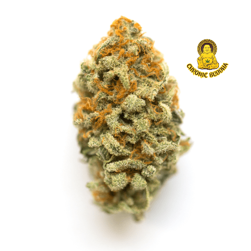 Panama Red X Sweet Jack Runtz